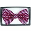 Hot Pink Striped Adult Bow Tie -Gemmy Sales BSA8360Z 54618 22905.1592489356