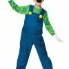 Super Mario Luigi Deluxe Child Costume -Gemmy Sales D10773z 05902.1649102317