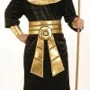Pharaoh Costume -Gemmy Sales FN60442Z 09618 59584.1592489400