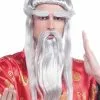 Martial Arts Master Wig -Gemmy Sales FNW67452Z 66485 16780.1592486843
