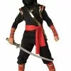 Ninja Boy Costume -Gemmy Sales IC17010Z 20099 63183.1592485464