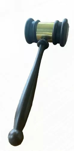 Judge's Gavel -Gemmy Sales QDA425z2 46004.1656361205