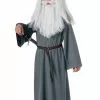 The Hobbit Gandalf Wizard Boy Costume -Gemmy Sales R881459Z 98494 75046.1592489262