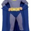 Batman Grey Costume Adult 1 Batman Grey Costume Adult -Gemmy Sales R889053Z 34787 00716.1592486553