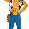 Woody Deluxe Child Costume 2 Woody Deluxe Child Costume -Gemmy Sales apis8ywcb 60935.1641939521