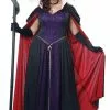 Disney Evil Queen Plus Costume -Gemmy Sales c1789z 67335.1592308591