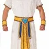 Egyptian King Man Costume -Gemmy Sales fn73560z 61293.1592266461