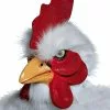 White/Red Rooster Mask 2 White/Red Rooster Mask -Gemmy Sales hma701586z 1 86823.1592267794