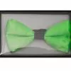 Bow Tie Lime Green