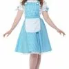 Wizard Of Oz Dorothy Women Costume -Gemmy Sales media 14259.1655141617