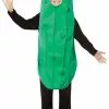 Pickle Kids Costume -Gemmy Sales media 23855.1625844316