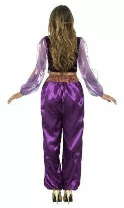 Aladdin Arabian Princess Woman Costume -Gemmy Sales media 37982.1592310960