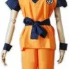 Dragon Ball Anime Adult Costume 1 Dragon Ball Anime Adult Costume -Gemmy Sales media 56595.1682023418