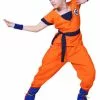 Dragon Ball Kids Costume -Gemmy Sales media 82777.1682100820