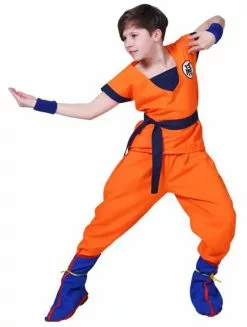 Dragon Ball Kids Costume