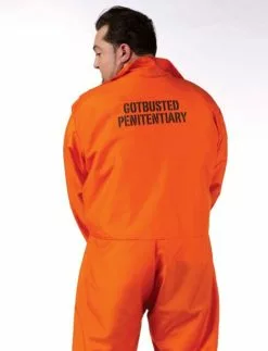 Got Busted! Prisoner Adult Costume -Gemmy Sales s l640 71337.1670608009