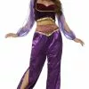 Aladdin Arabian Princess Woman Costume -Gemmy Sales s24702z 19972.1592311708