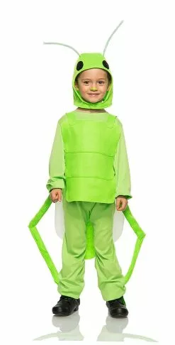 Flying Grasshopper Boy Costume